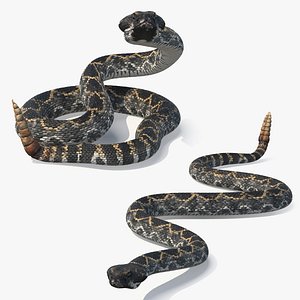 Dark Rattlesnake Set Animated Rigged