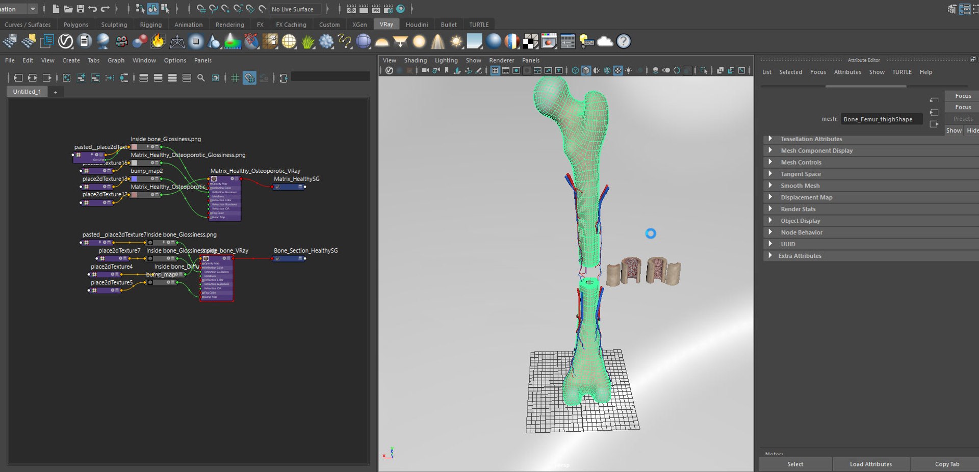 Inside bone with Healthy and osteoporotic section model - TurboSquid ...
