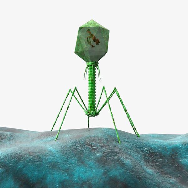 modelo 3d Virus del bacteriófago T4 - TurboSquid 1517124