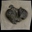 Rock 3D Scan 08