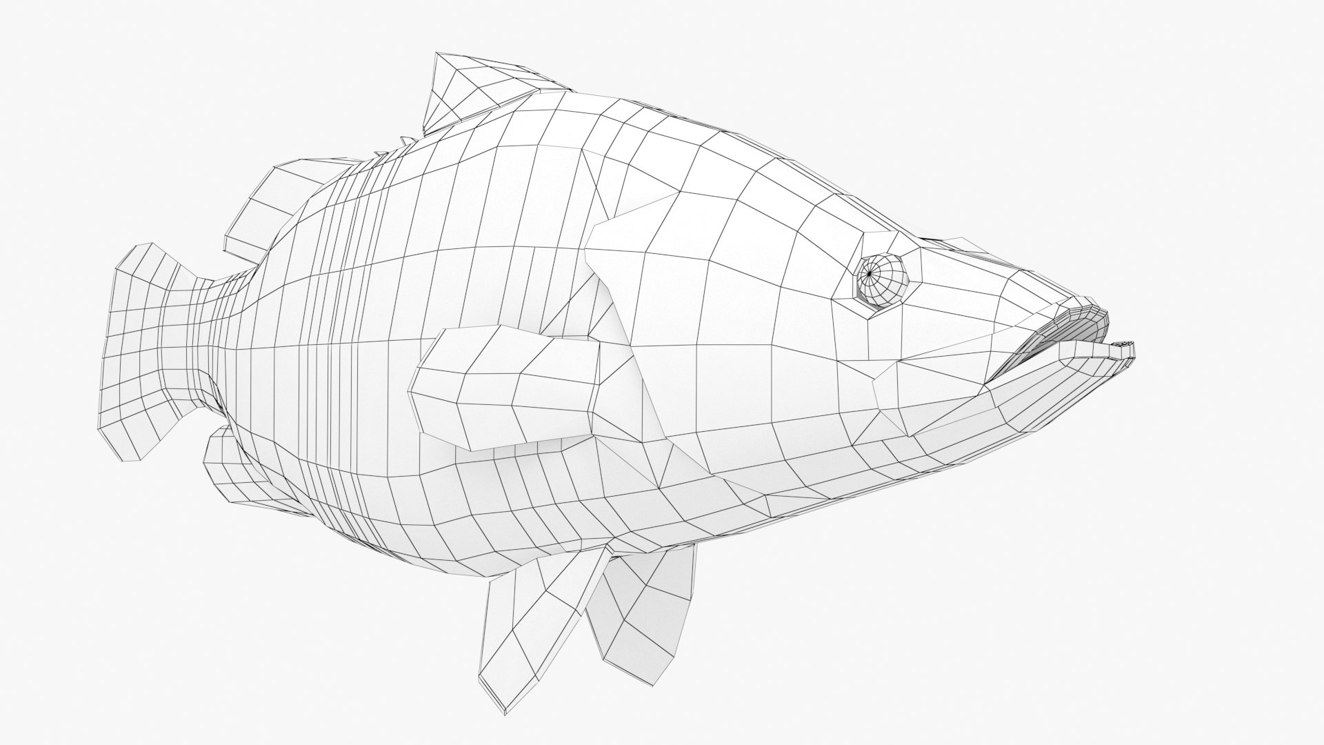 Nile Perch 3D model https://p.turbosquid.com/ts-thumb/jb/WmUE4g/7L/nileperch_12/jpg/1652199116/1920x1080/fit_q87/2d9c7c25dce13683ee04d6e33f2c55017f1120de/nileperch_12.jpg