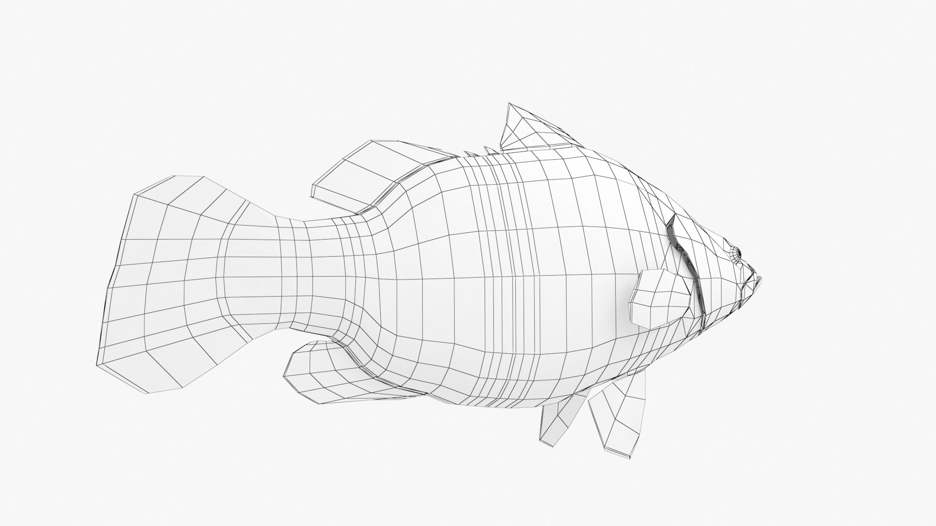 Nile Perch 3D model https://p.turbosquid.com/ts-thumb/jb/WmUE4g/Mz/nileperch_11/jpg/1652199115/1920x1080/fit_q87/b37c9829d1a1a0f96b0053e199554f1030a57b77/nileperch_11.jpg