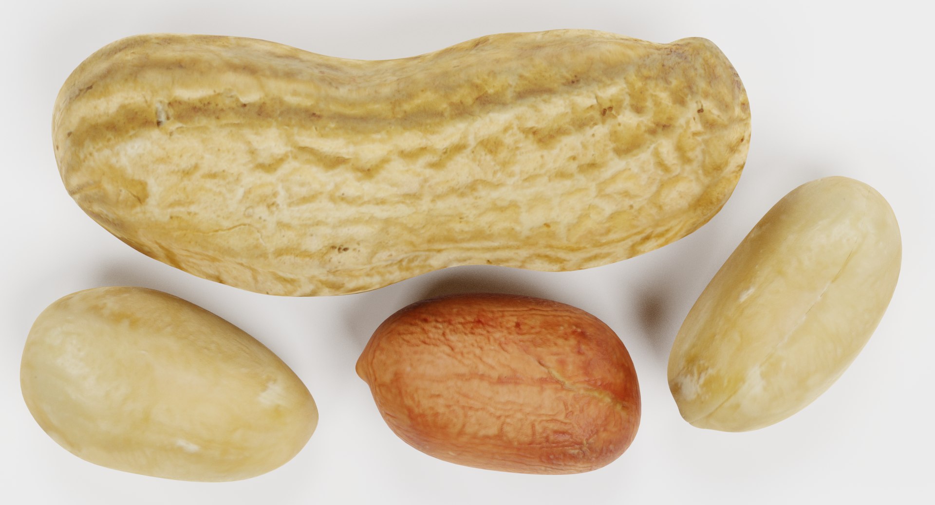 peanuts pbr 3D model https://p.turbosquid.com/ts-thumb/jb/eJMz3e/AFaSizNF/peanutsh/png/1515171012/1920x1080/fit_q87/eaed3958449de66a2f4066a5676dbe2fecf0f349/peanutsh.jpg