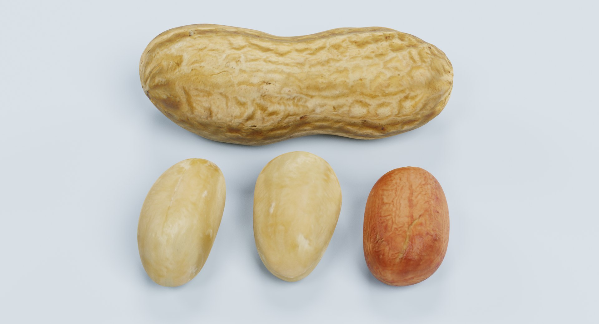 peanuts pbr 3D model https://p.turbosquid.com/ts-thumb/jb/eJMz3e/OOiqzLhK/peanutsc/png/1515171011/1920x1080/fit_q87/d729fb49c9c424b925fc29e49b644aceb8619c77/peanutsc.jpg