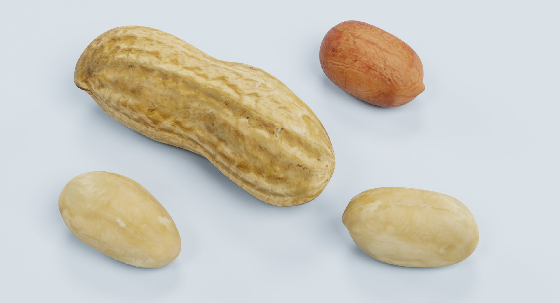 peanuts pbr 3D model https://p.turbosquid.com/ts-thumb/jb/eJMz3e/dTZkJrLz/peanutse/png/1515171011/1920x1080/fit_q87/700540ab0c5dda0268989c4adf0882fe1be15355/peanutse.jpg