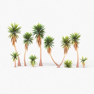 3D model Yucca gigantea