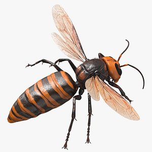 Giant Asian Hornet Fur Flying Pose