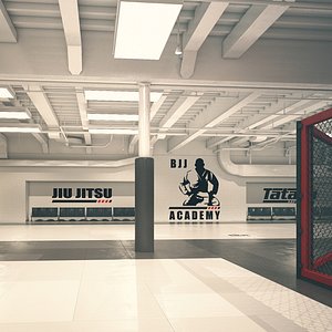 BJJ Gym