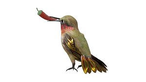 bird humming model