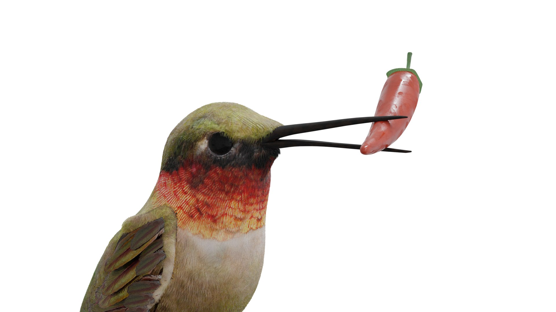 bird humming model https://p.turbosquid.com/ts-thumb/jb/uByX9J/yB/7/png/1606080771/1920x1080/fit_q87/c82aa5f58f8a0750f47208a61fdfa80d5c77d4ee/7.jpg