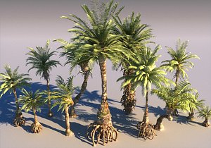 prehistoric plants model