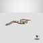 Crawling Brown Hognose Snake