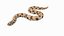Crawling Brown Hognose Snake