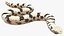 Crawling Brown Hognose Snake