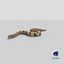 Crawling Brown Hognose Snake