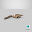 Crawling Brown Hognose Snake