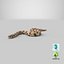 Crawling Brown Hognose Snake