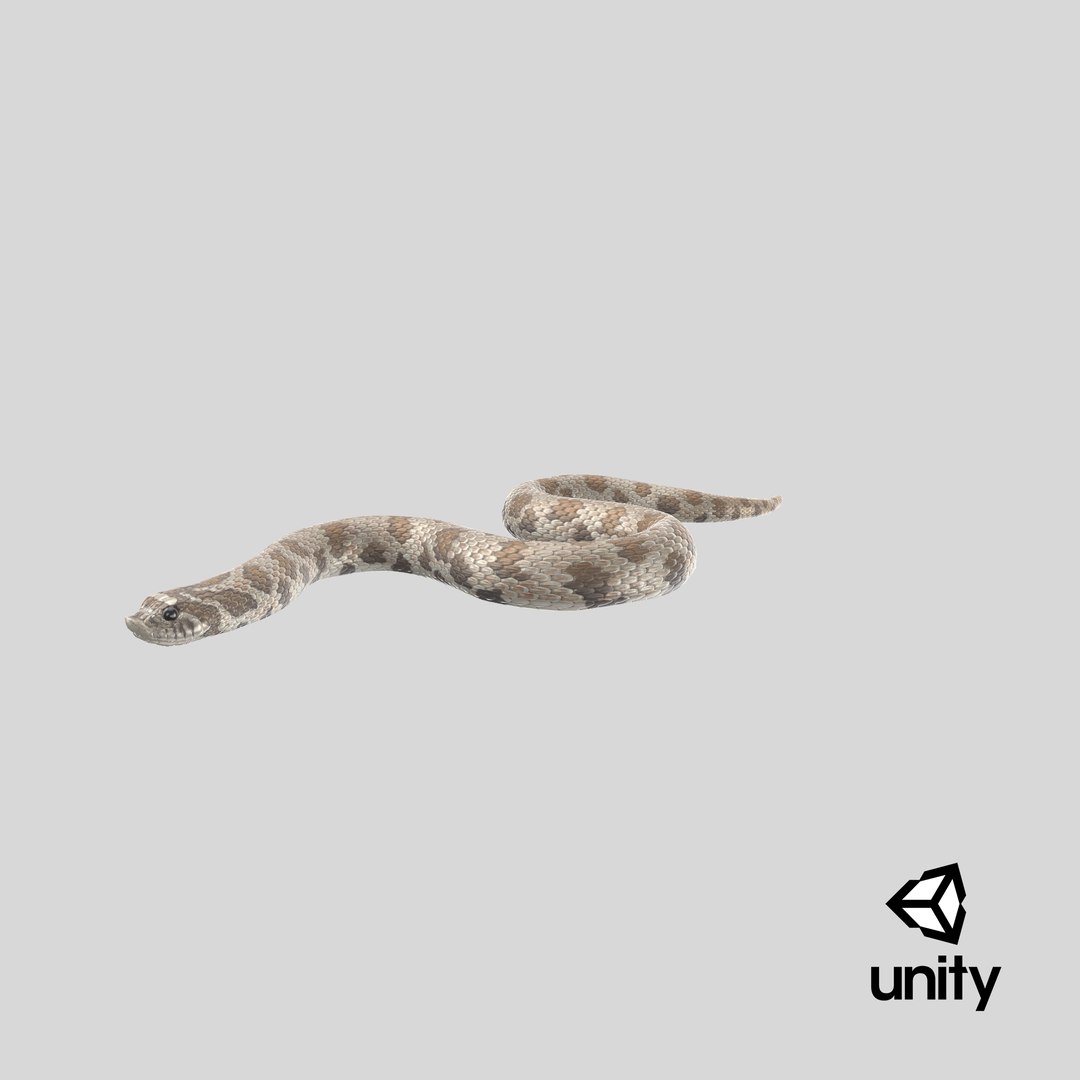 crawling brown hognose snake 3D https://p.turbosquid.com/ts-thumb/jc/3yd10s/fP/stemcell_unity_render/png/1669840749/1920x1080/fit_q87/a332414efcc30480785ddcdeb27be2009ecff61b/stemcell_unity_render.jpg