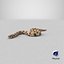 Crawling Brown Hognose Snake