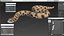 Crawling Brown Hognose Snake
