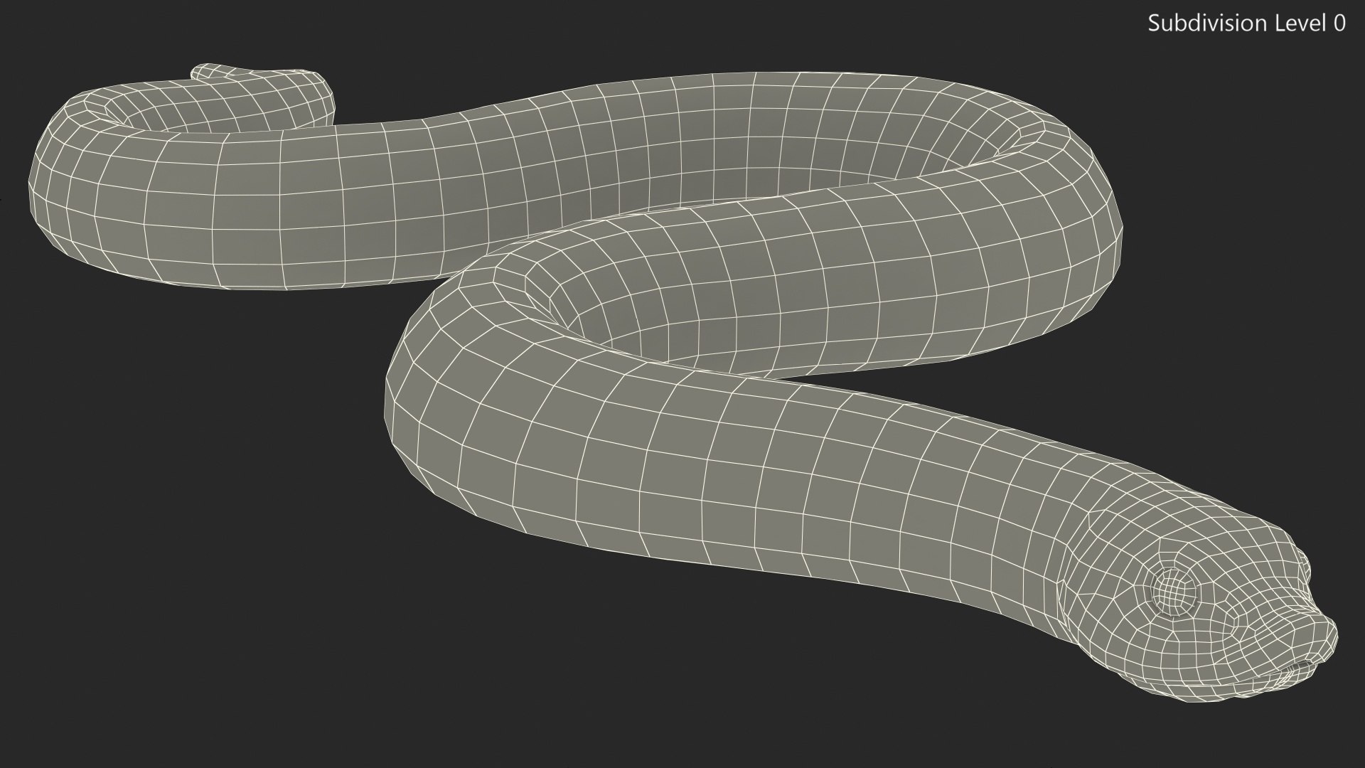 crawling brown hognose snake 3D https://p.turbosquid.com/ts-thumb/jc/3yd10s/iibw7rPt/crawlingbrownhognosesnake3dsmodel015/jpg/1574692759/1920x1080/fit_q87/17c3d41f5f38dd6b4bf788bc4b59488a9ebaaa92/crawlingbrownhognosesnake3dsmodel015.jpg