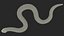 Crawling Brown Hognose Snake