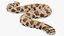 Crawling Brown Hognose Snake