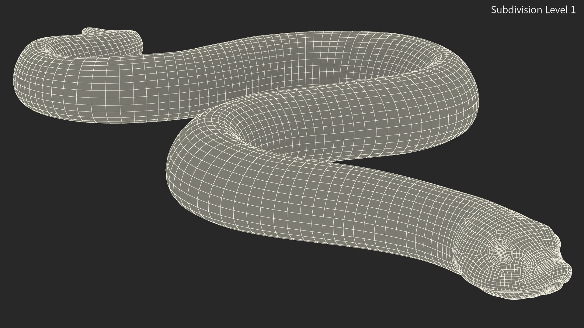 crawling brown hognose snake 3D https://p.turbosquid.com/ts-thumb/jc/3yd10s/wX4709Az/crawlingbrownhognosesnake3dsmodel016/jpg/1574692763/1920x1080/fit_q87/f24b93834468dbbd7969ce997d8e9db86938912d/crawlingbrownhognosesnake3dsmodel016.jpg