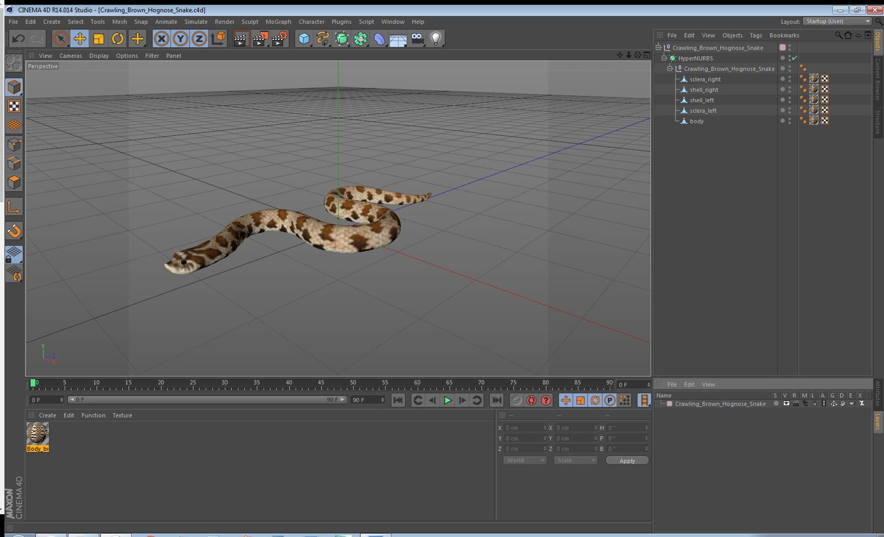 crawling brown hognose snake 3D https://p.turbosquid.com/ts-thumb/jc/3yd10s/xrAcQffF/crawlingbrownhognosesnake3dsmodel020/jpg/1574692782/1920x1080/fit_q87/09abdd94b846166b6cf69d7e3ba3b042481b92fc/crawlingbrownhognosesnake3dsmodel020.jpg