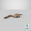 Crawling Brown Hognose Snake
