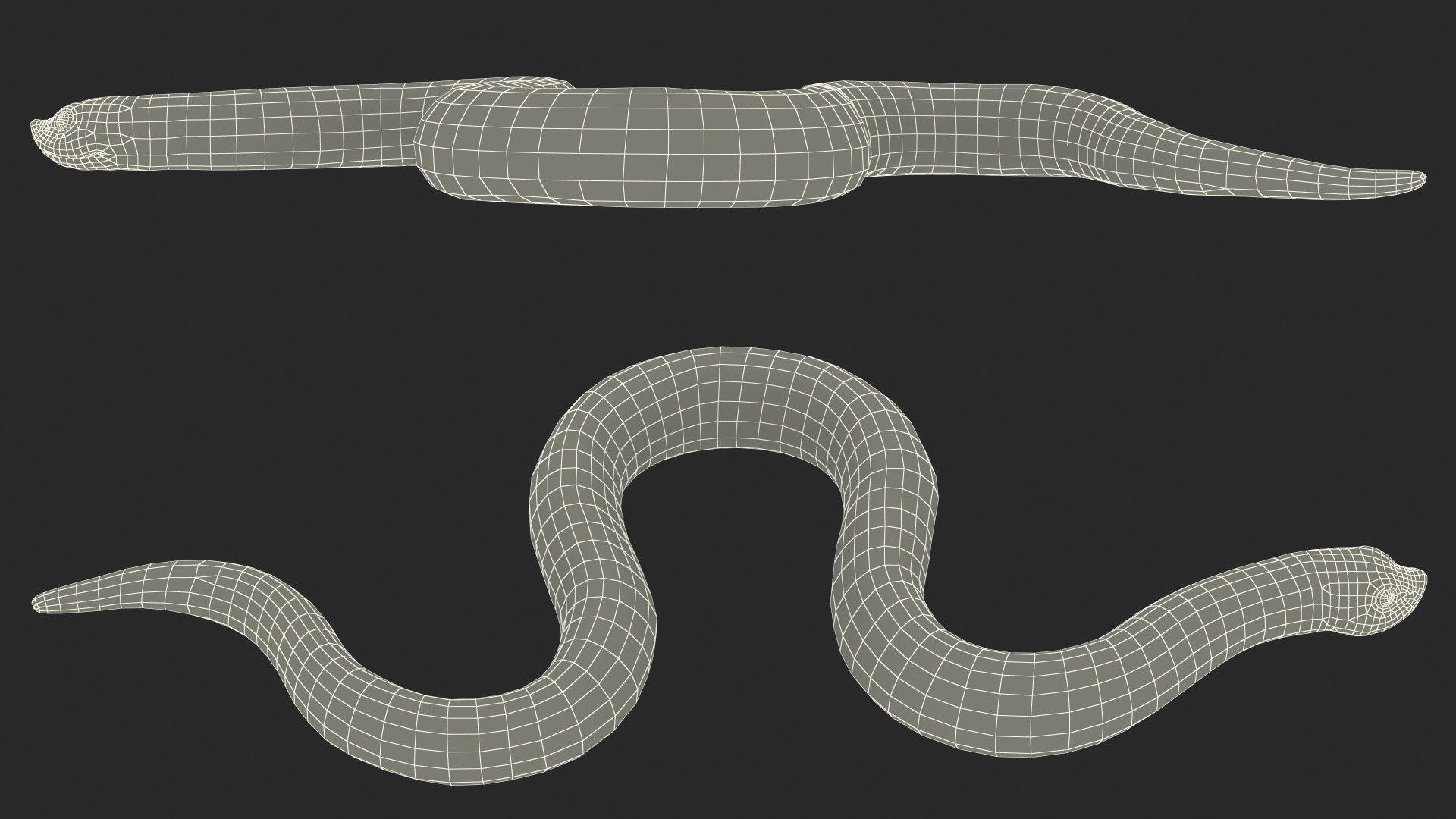 crawling brown hognose snake 3D https://p.turbosquid.com/ts-thumb/jc/3yd10s/z0Tc8tU7/crawlingbrownhognosesnake3dsmodel023/jpg/1574692796/1920x1080/fit_q87/a0269879152f8461dccc05564ef5314b2257f9e0/crawlingbrownhognosesnake3dsmodel023.jpg
