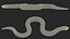 Crawling Brown Hognose Snake