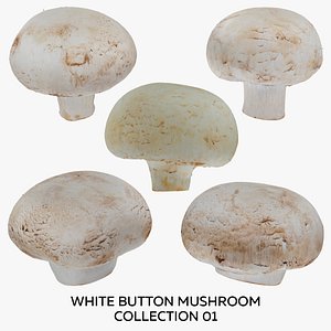 White Button Mushroom Collection 01 - 5 models RAW Scans 3D model