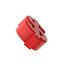 Dólar rojo