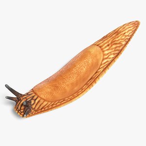 Slug 3D