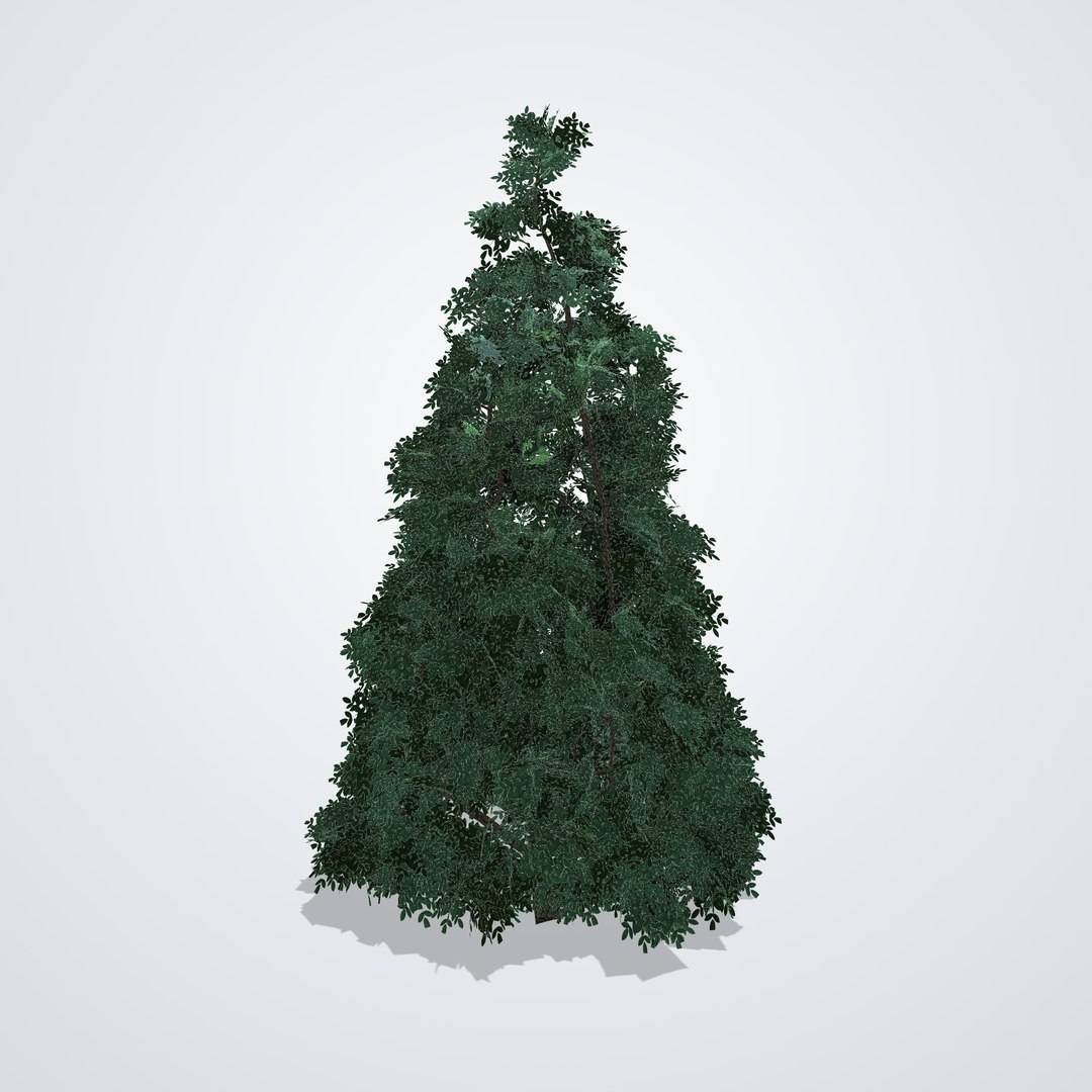 20 Trees Collection - Ornamental, Fruit and Shade Trees model https://p.turbosquid.com/ts-thumb/jc/O7kXTF/pS/magnoliagallissoniensis_04_side_left/png/1792518172/1920x1080/fit_q87/eafa3aab74f63d6da75f2170a213d3caea23d4df/magnoliagallissoniensis_04_side_left.jpg