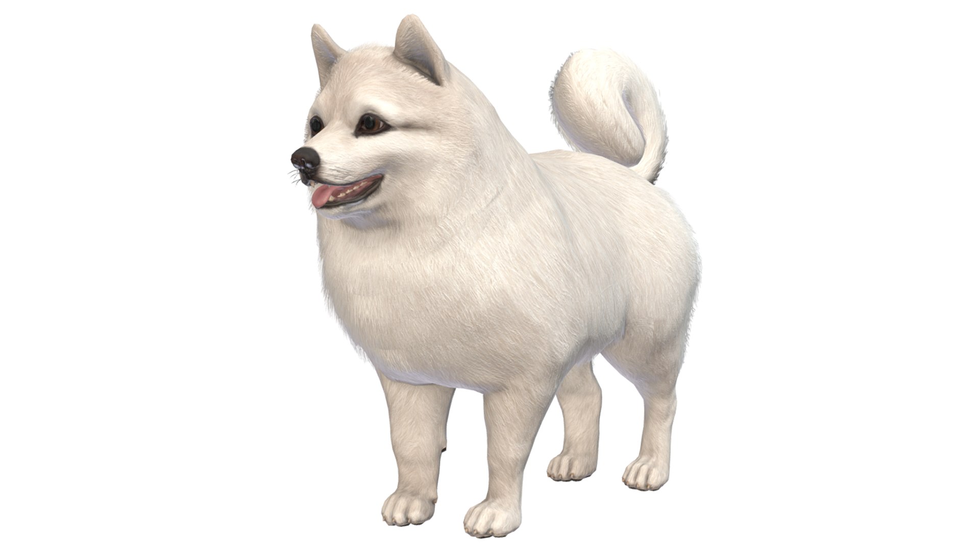 Dogs Big Pack 3D model https://p.turbosquid.com/ts-thumb/jc/aCHQKV/4K/render_1/png/1713961857/1920x1080/fit_q87/9b06760edf55ef470dd090f2a93db2e0bdd5fdbb/render_1.jpg