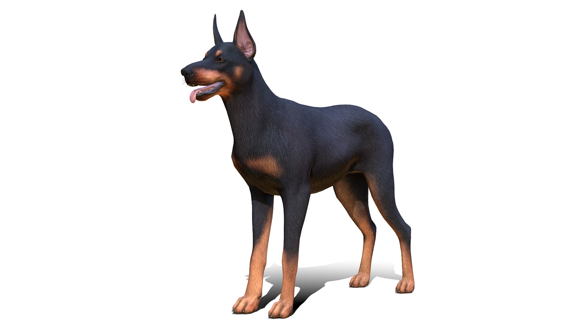 Dogs Big Pack 3D model https://p.turbosquid.com/ts-thumb/jc/aCHQKV/Cr/1/png/1705769291/1920x1080/fit_q87/78d716e5b78830fd1f7a5e3024e0d62698a42b58/1.jpg