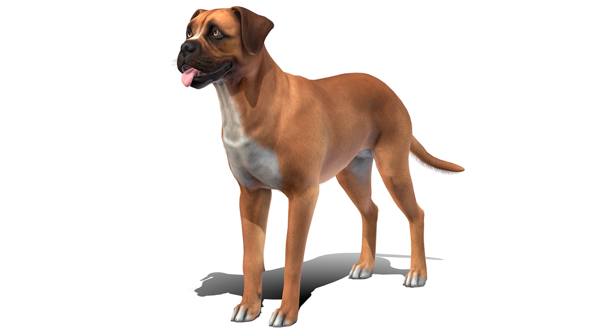 Dogs Big Pack 3D model https://p.turbosquid.com/ts-thumb/jc/aCHQKV/GT/r1/png/1683800935/1920x1080/fit_q87/612eb282ea6d86dcf44e84480810998551b6c83c/r1.jpg