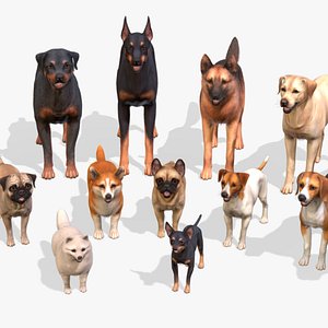 Dogs Big Pack 3D model