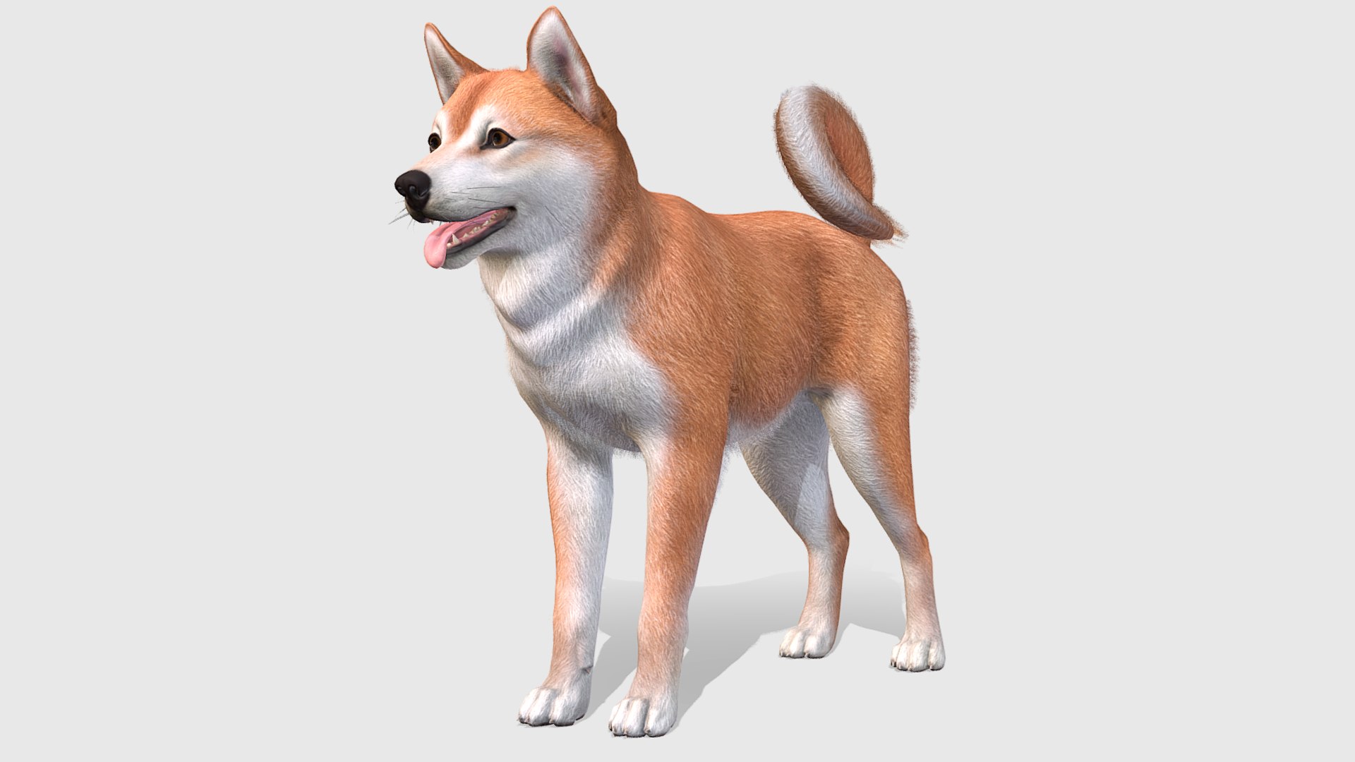 Dogs Big Pack 3D model https://p.turbosquid.com/ts-thumb/jc/aCHQKV/PM/1/png/1702301153/1920x1080/fit_q87/13226bf836a6ff6073b129a3f59d4e5f2699b8bb/1.jpg