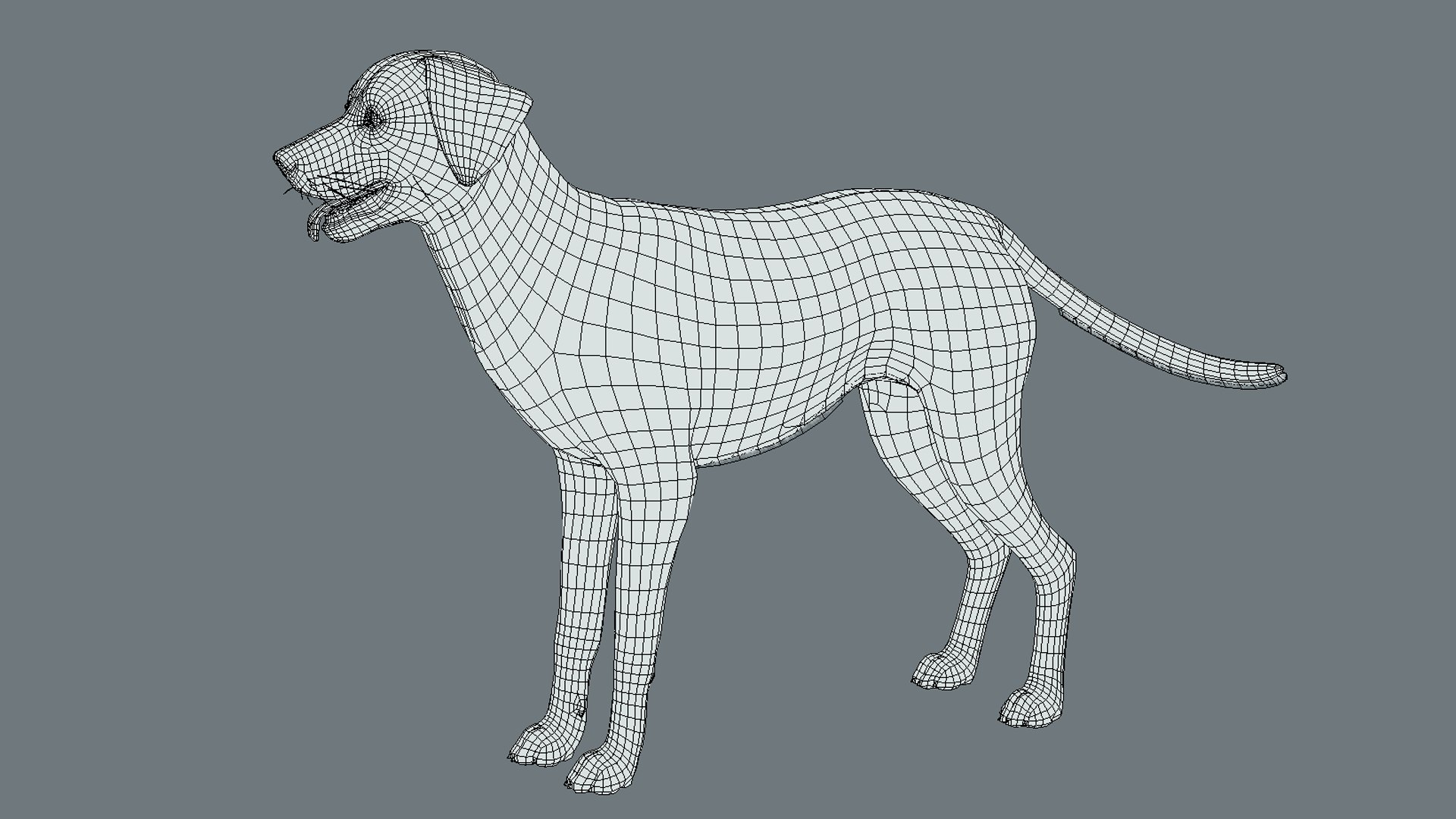 Dogs Big Pack 3D model https://p.turbosquid.com/ts-thumb/jc/aCHQKV/ZR/wire/png/1710144339/1920x1080/fit_q87/824ee8c2e901f746d5c3ecf8a97d1399ac559d98/wire.jpg