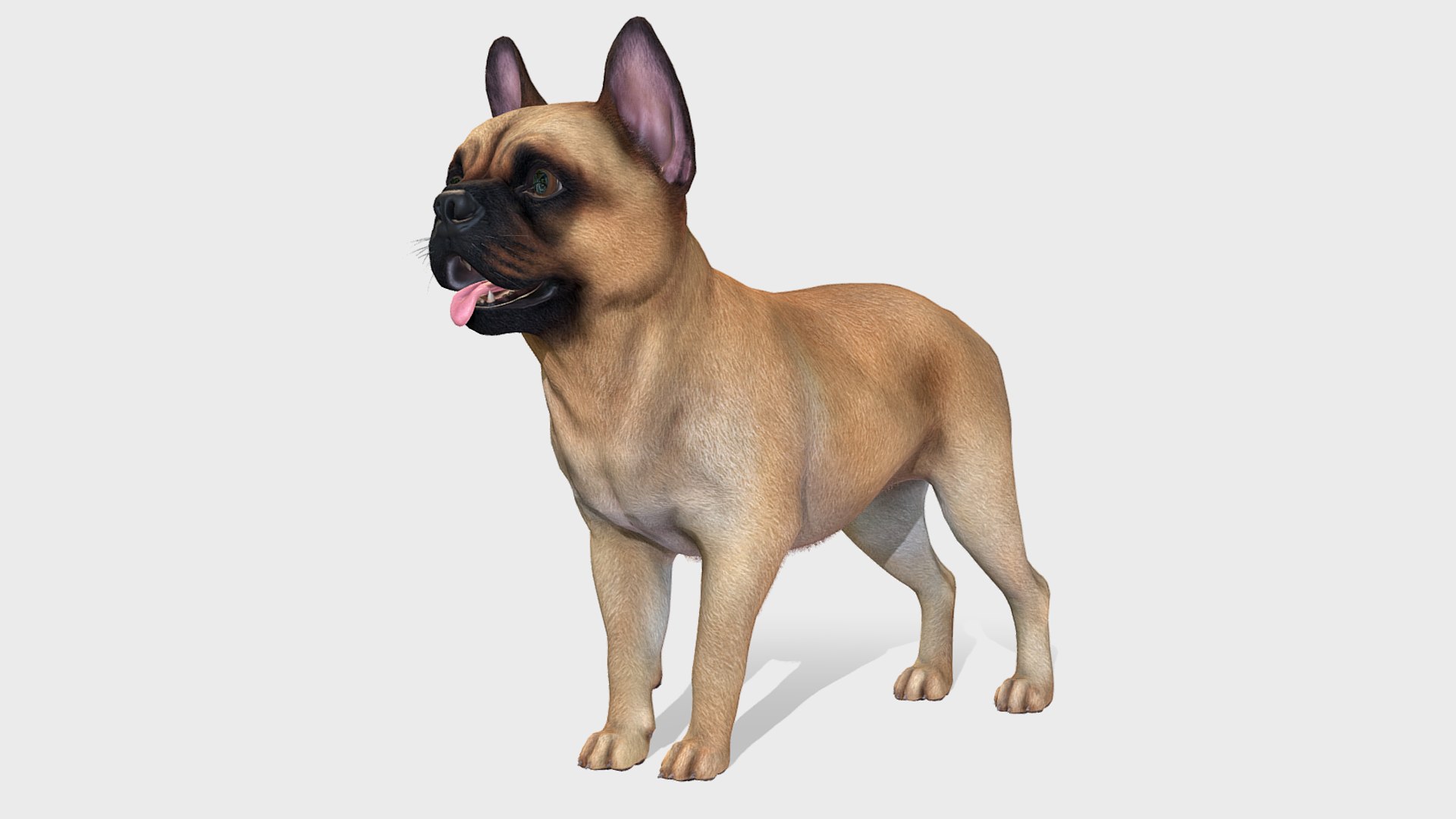 Dogs Big Pack 3D model https://p.turbosquid.com/ts-thumb/jc/aCHQKV/cR/1/png/1710511372/1920x1080/fit_q87/909c3d3e25e522325560af217f0c1c2c1b92709b/1.jpg