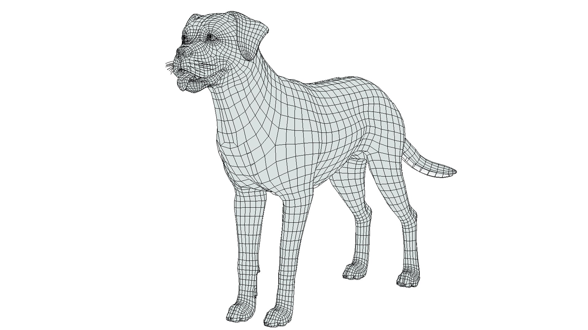 Dogs Big Pack 3D model https://p.turbosquid.com/ts-thumb/jc/aCHQKV/eH/wire/png/1683800934/1920x1080/fit_q87/96f13f9c1d6452045e08463db7d5a20ac4daa69c/wire.jpg