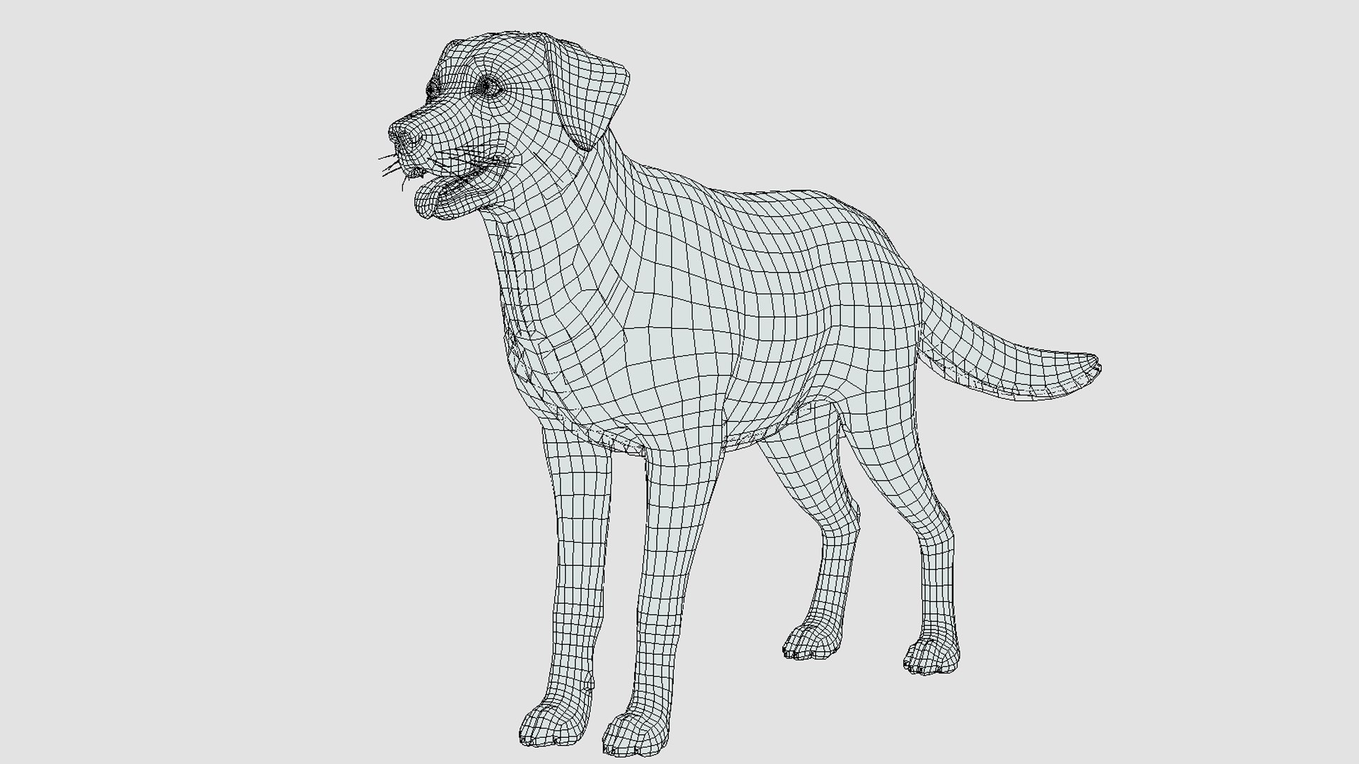 Dogs Big Pack 3D model https://p.turbosquid.com/ts-thumb/jc/aCHQKV/rx/wire/png/1703169740/1920x1080/fit_q87/13b9b5137639b98ec35aa2fe5f8a805935fc64a3/wire.jpg