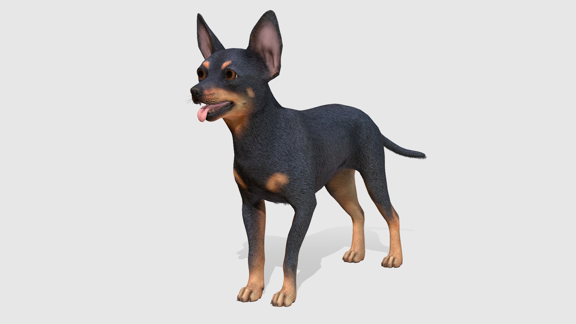 Dogs Big Pack 3D model https://p.turbosquid.com/ts-thumb/jc/aCHQKV/uT/1/png/1711720641/1920x1080/fit_q87/930ef7b9787ae5c41539c9d211fb62e6e0be938c/1.jpg