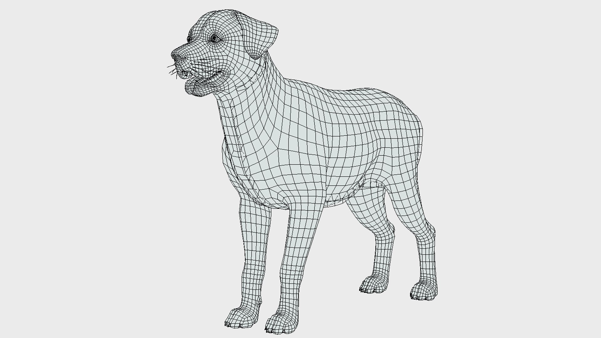 Dogs Big Pack 3D model https://p.turbosquid.com/ts-thumb/jc/aCHQKV/vm/wire/png/1708694822/1920x1080/fit_q87/618c5a820a6a8a0877eae878d4e5a26ba9cec3c0/wire.jpg