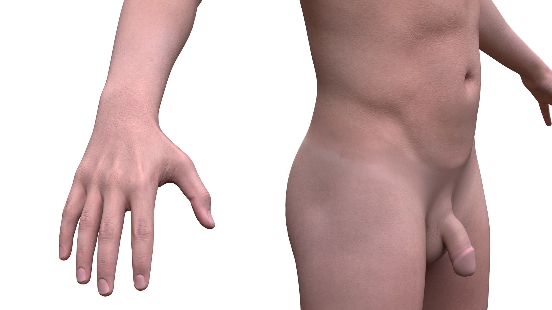3D Realistic and Cartoon Business Man model https://p.turbosquid.com/ts-thumb/jc/u4mCad/E8/man1_c7/jpg/1650530425/1920x1080/fit_q87/2efaa640d2d62731ced8f64c7f5acdbbfdbe32cd/man1_c7.jpg