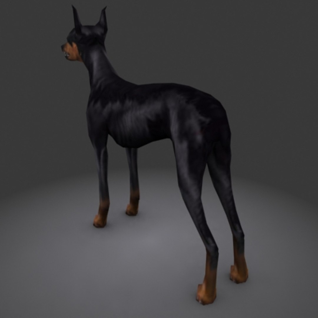 Max Doberman Dog Guard