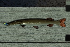 pike fishing pole max